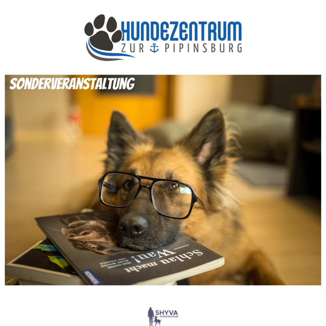 Seminar - Intensivtag (Hundezentrum zur Pipinsburg)