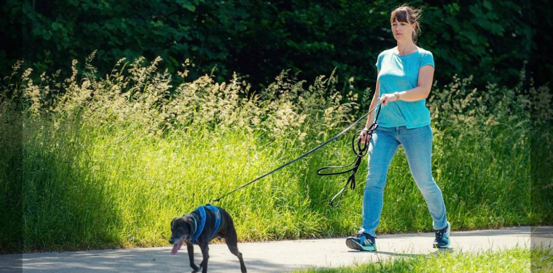 Mantrailing Einsteiger-Workshop