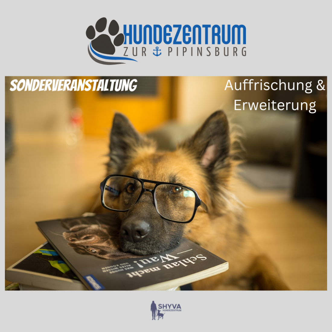 Seminar - Intensivtag Auffrischung & Erweiterung (Hundezentrum zur Pipinsburg)