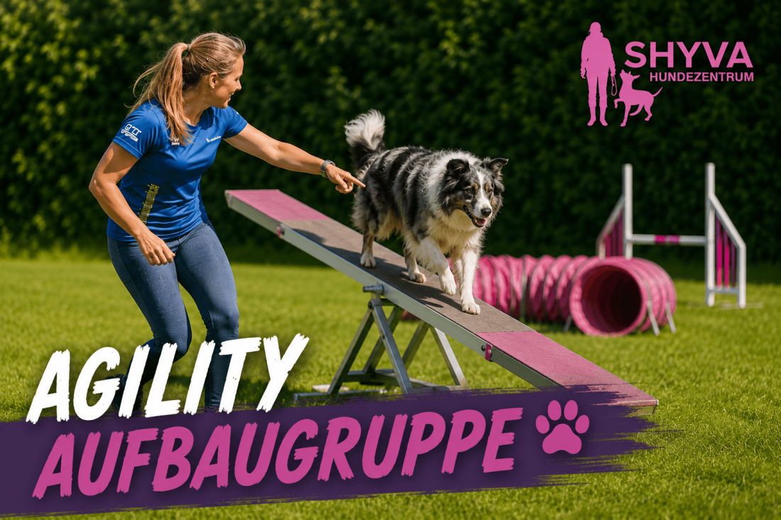 Agility Aufbaukurs