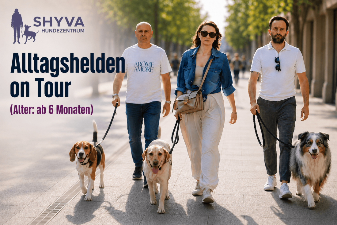 Alltagshelden on Tour – vom Training zum Alltag