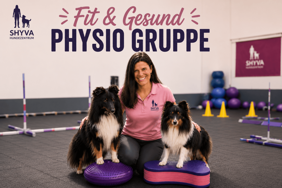 Fit & Gesund mit Physiotherapeutin 