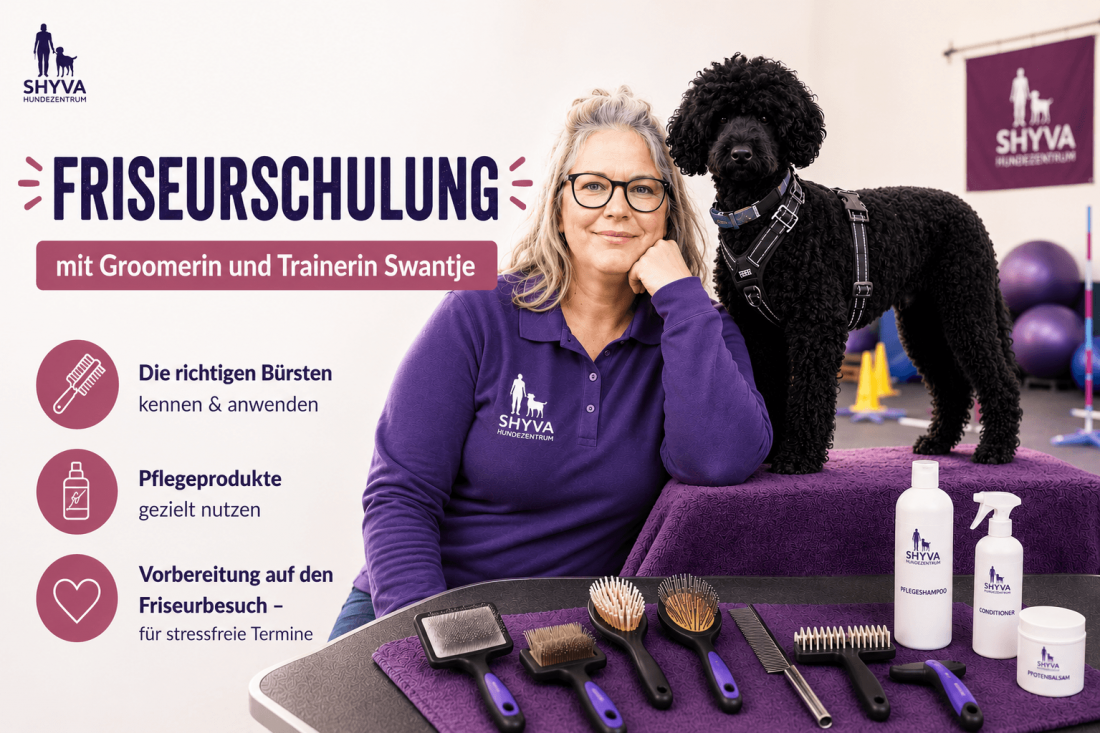 Friseurschulung für Zuhause – Pflege, die verbindet – für dich & deinen Hund