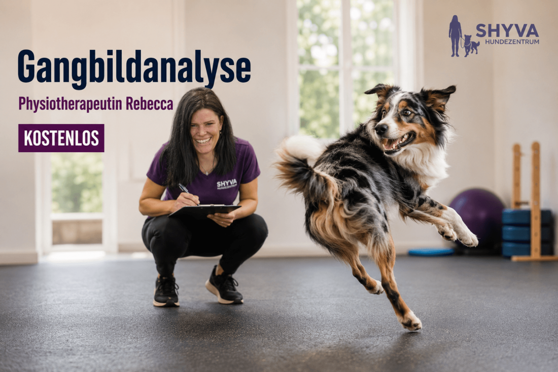 Gangbildanalyse - von Physiotherapeutin Rebecca - KOSTENLOS