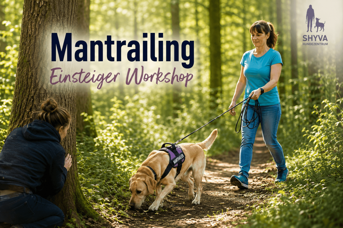 Mantrailing Einsteiger-Workshop