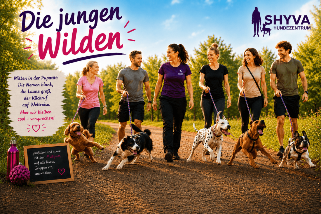 Junghunde-Stunde - Mitten in der Pupertät