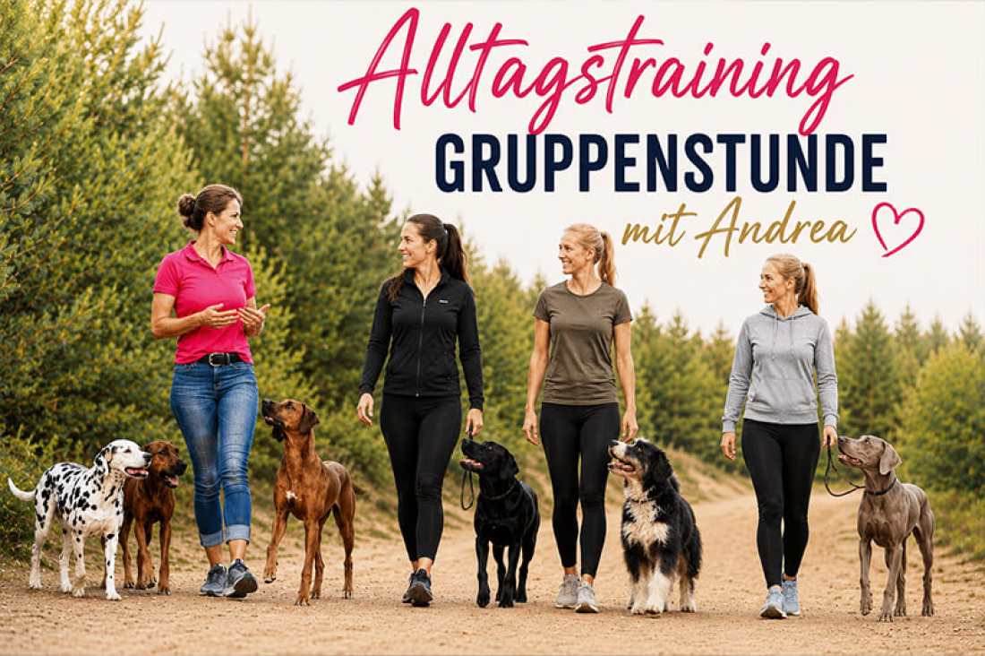 Alltagstraining mit Andrea