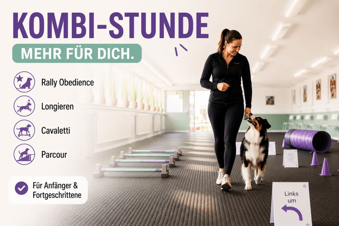 Kombi Stunde - mehr für dich